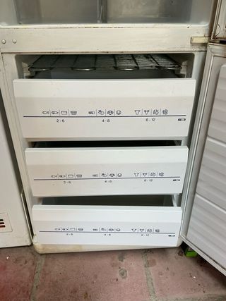 Nevera y Congelador Lynx