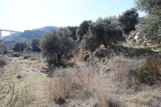 Solar en venta en Alcañiz