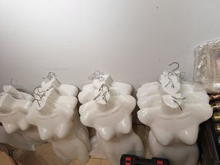 Estanterias de cristal i vitrina i probado maniquí