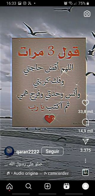 Estanterias de cristal i vitrina i probado maniquí