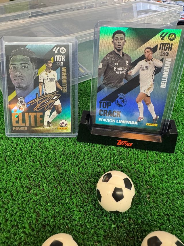 Carta Bellingham MGK 24/25 Elite Power