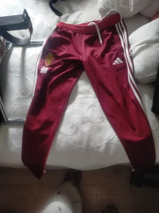 Chándal Oficial Zaragoza Adidas Rojo