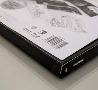 El artista y la modelo Blu-ray edición especial