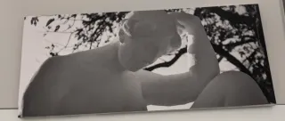 El artista y la modelo Blu-ray edición especial