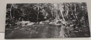 El artista y la modelo Blu-ray edición especial