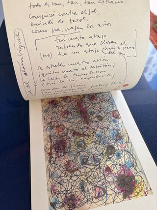 Edición Especial Sabina: Vinagre y Rosas