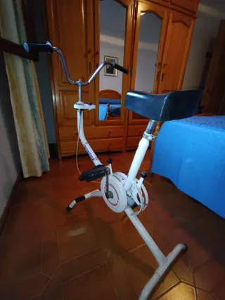 Bici Estática Vintage Cyclostatic