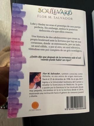 Boulevard (Spanish Edition)