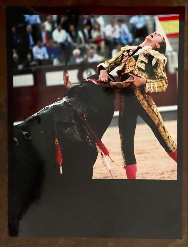 FOTOGRAFÍA “ PRENDIDO Y DESTROZADO “.