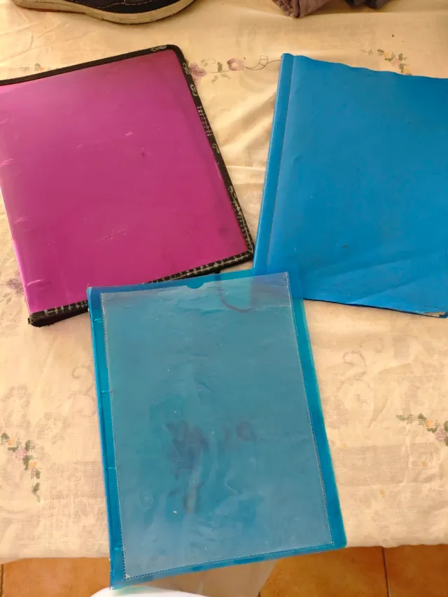 Archivadores transparentes de colores