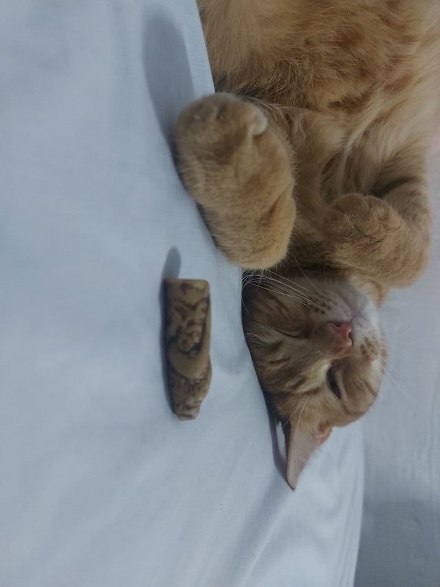 Antigüedad Japón Escultura Rara