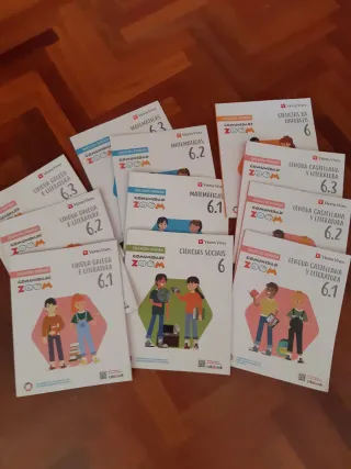 Lote libros 6 primaria Vicens Vives
