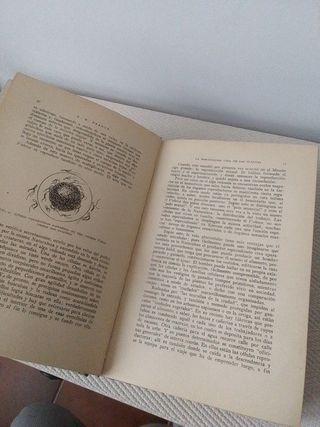 La maravillosa vida de las plantas 