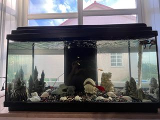 se vende acuario de 80L vacio con decoración