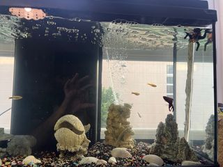 se vende acuario de 80L vacio con decoración