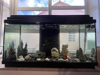 se vende acuario de 80L vacio con decoración