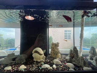 se vende acuario de 80L vacio con decoración