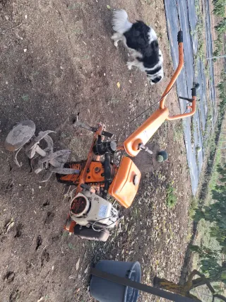 Motocultor PIVA Naranja