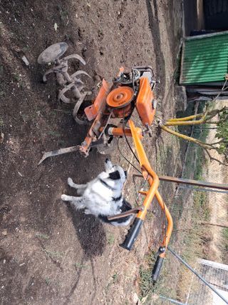 Motocultor PIVA Naranja