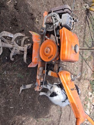 Motocultor PIVA Naranja