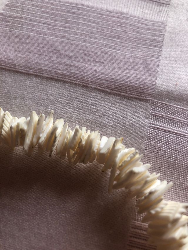 Collana unisex conchiglie bianche