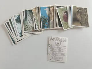 63 cromos Animals of the World