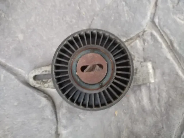 Tensor Correa Poli V