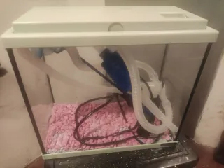 Pecera pequeña con accesorios