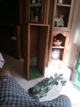 Terrario madera marina (FALTA UN CRISTAL)