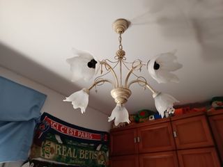 2 Lámparas de techo floral