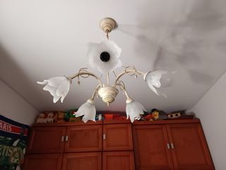 2 Lámparas de techo floral