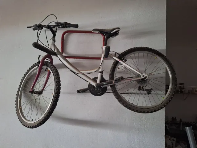 Bicicleta junior niña