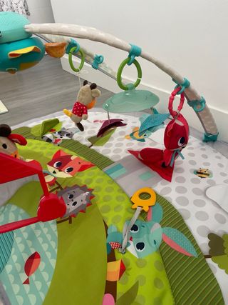 Gimnasio Bebé Tiny Love Evolutivo