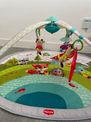 Gimnasio Bebé Tiny Love Evolutivo