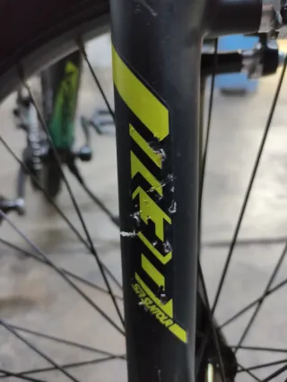 Bicicleta Orbea MX 24