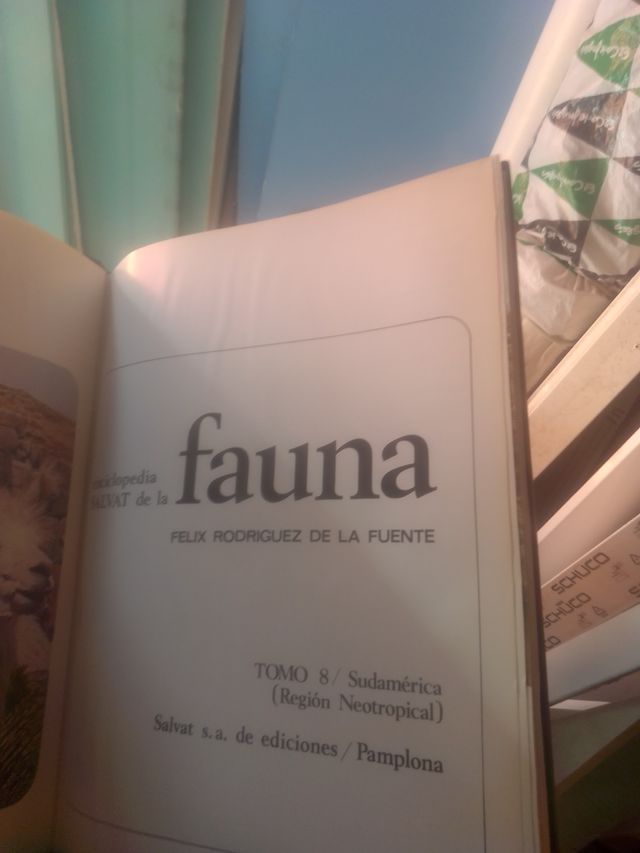 Fauna