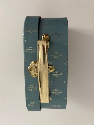 Baúl decorativo cactus