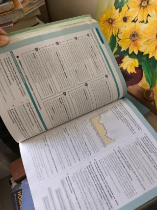 Economía. 1 Bachillerato. Savia (Spanish Edition)