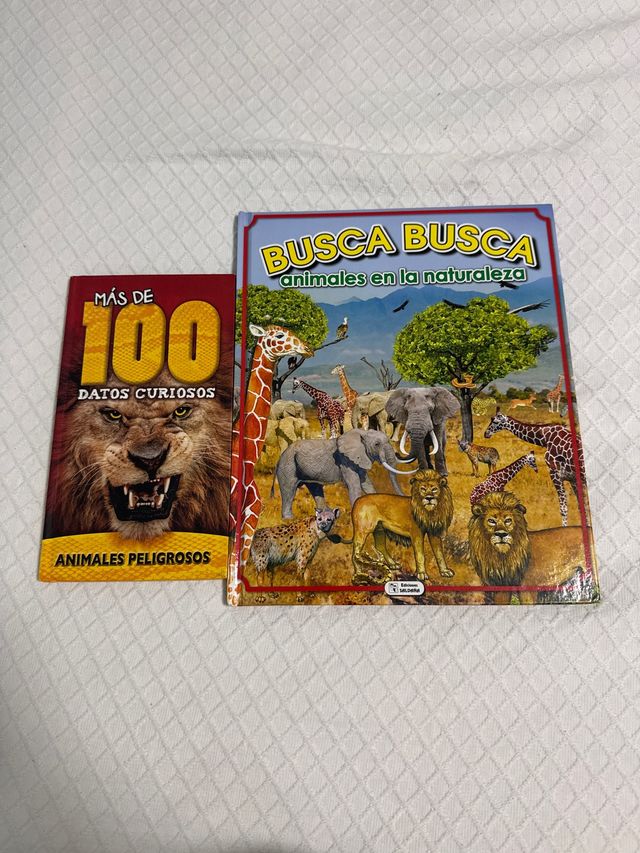 Lote 3 libros Busca animales naturaleza y safari