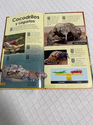 Lote 3 libros Busca animales naturaleza y safari