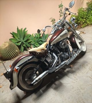 Escapes Supertrapp + colectores Harley