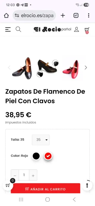 Zapatos de Flamenco Negros