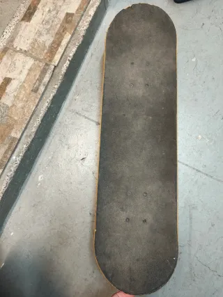 Skate Oxelo con diseño de oso