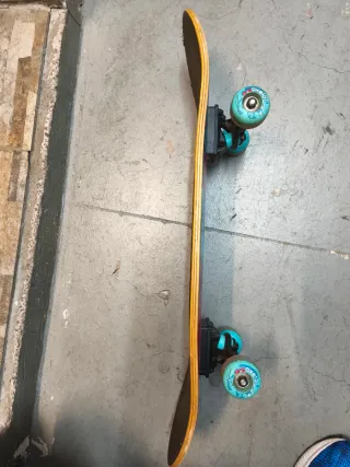 Skate Oxelo con diseño de oso