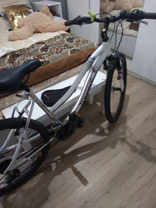 Bicicleta Montaña Aluminio Ligera