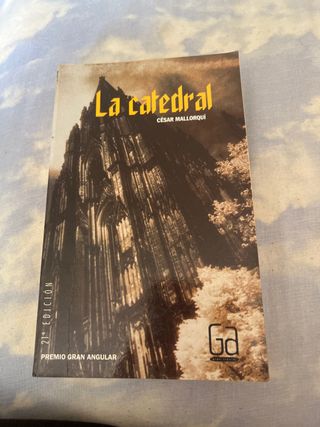 La catedral (Gran Angular) (Spanish Edition)