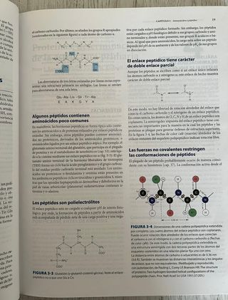 HARPER BIOQUIMICA ILUSTRADA