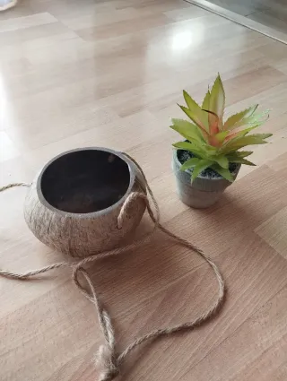Macetero colgante coco con planta