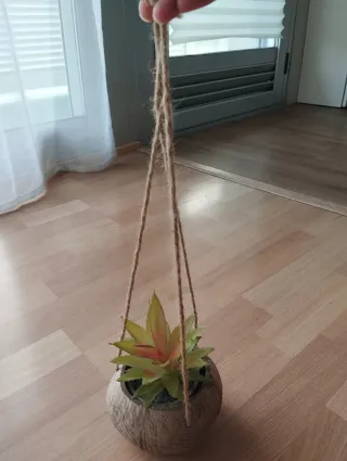 Macetero colgante coco con planta