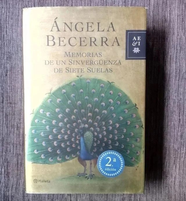 Menorias de un sinvergüenza de siete suelas